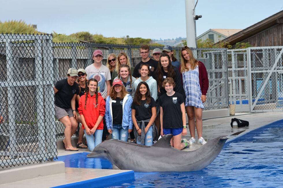 marine-mammal-scientist-in-training-program-update-california-ocean