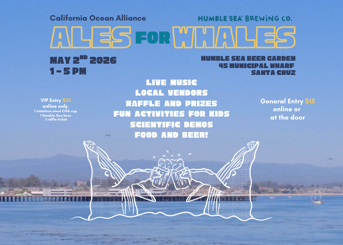 Ales for Whales 2026